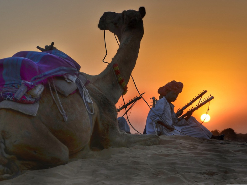 Camel Safari